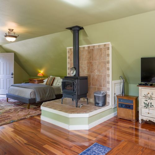 Studio has a gas fireplace and Smart TV