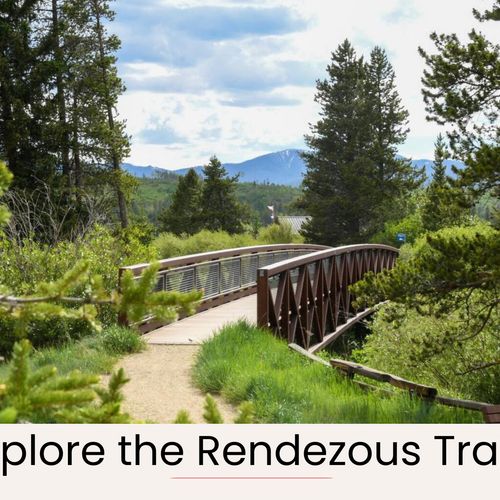 Explore the rendezvous neighborhood.