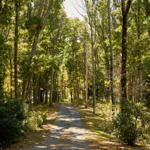 This long, private driveway is a stunning entry for your peaceful escape.