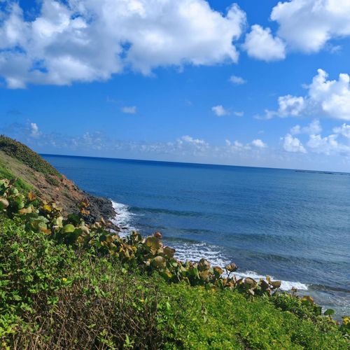 Stunning vista of the vibrant blue ocean meeting dramatic green coastline. Perfect for nature lovers and serene getaways.