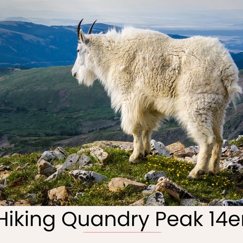 World class hiking 28 minutes away