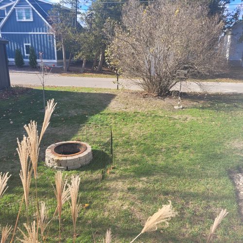 Exterior:  looking out from the back door at the backyard.