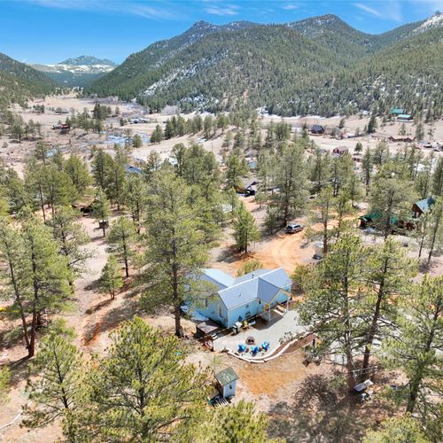 Your bailey basecamp—relax beneath a canopy of pine trees and blue sky.