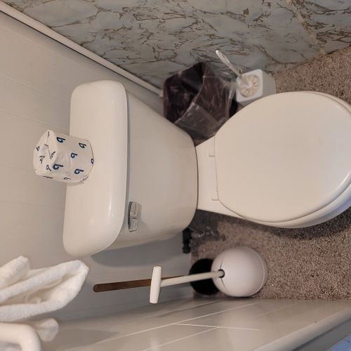Bathroom #4 (lower level):  this is the small half-bath for the lower level. Note that it consists of just a toilet.