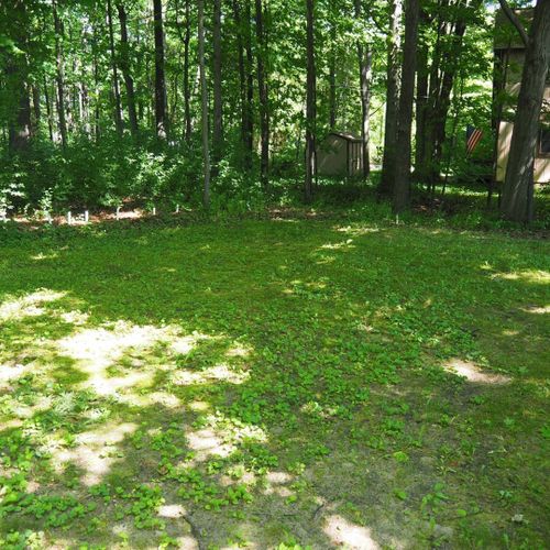 Exterior:  there's a nice grassy area in the front yard for kids to play.