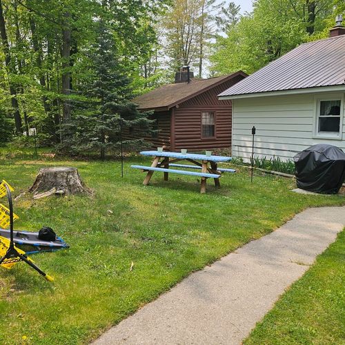 Forrest's cabin - backyard