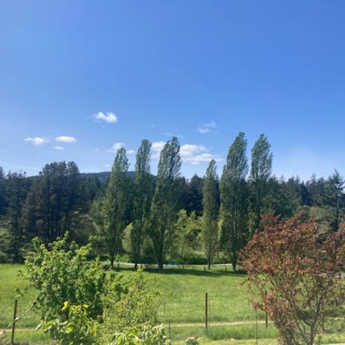 View  from the house