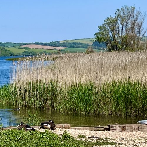 Slapton ley