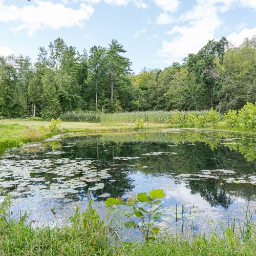 Gorgeous any time of year