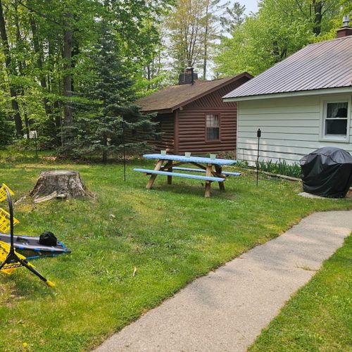 Forrest's cabin - backyard