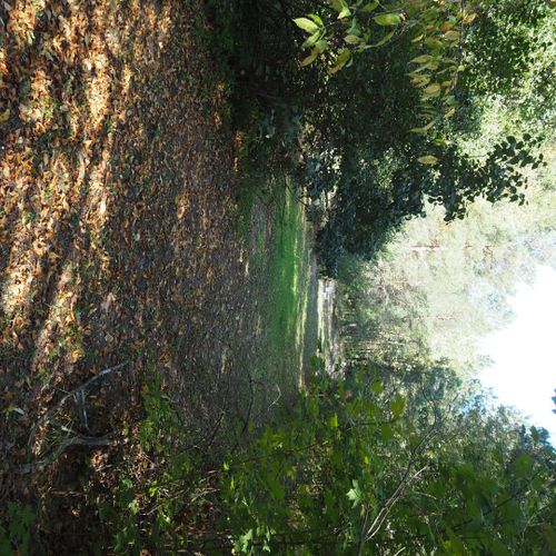 Exterior:  the trails on the property.