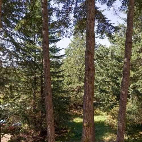 The patio at the back of the house offers a lovely view—perfect for relaxing and soaking in the peaceful surroundings.