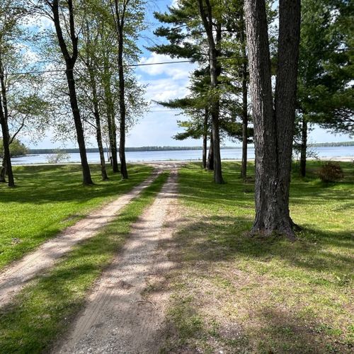 Exterior:  the driveway, which is shared between vivian's cabin and forrest's cabin.