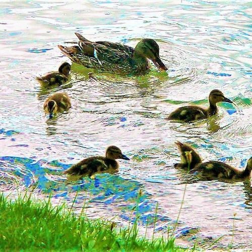 Extra:  some of the abundant wildlife in the area!