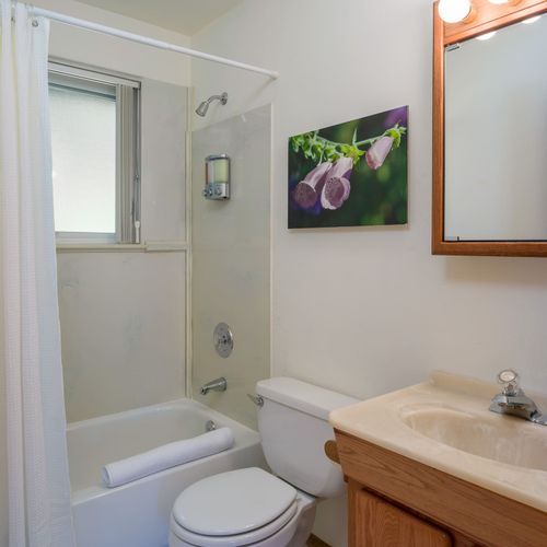 Guest bathroom with a shower/tub combo and vanity.  Natural shampoo, conditioner, soap, and quality towels are provided.