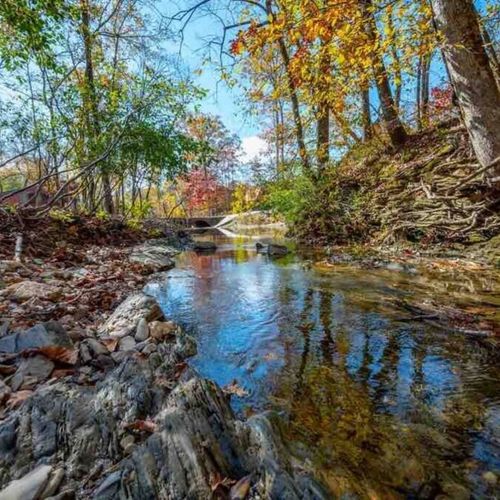 The flowing creek on the property.