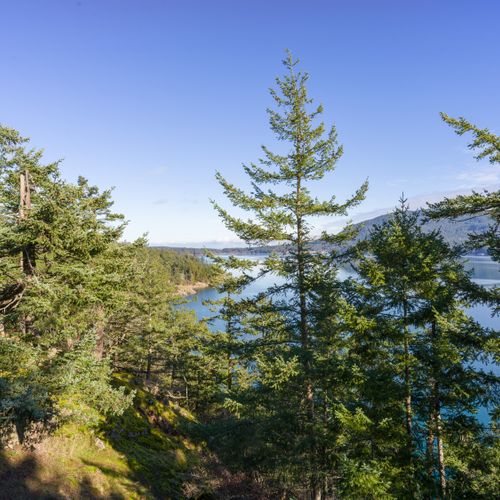 af9d07fa 13ce 4ed5 954e fea8e68df962 homerunner