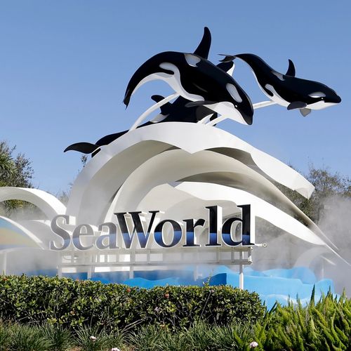 Sea World Orlando