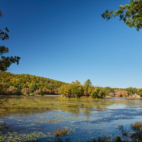 Overlooking the lake from your private peninsula.