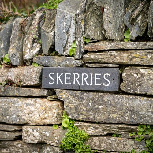 B3142a69 a472 4722 bdf8 011afb49615f homerunner