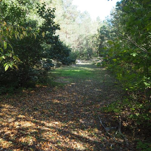 Exterior:  the trails on the property.