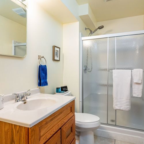 Bathroom #4 (lower level):  this is full bathroom on the lower level, which basically serves the guests staying in bedroom #5.