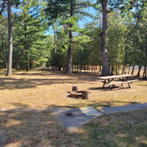 Exterior:  the large family-friendly backyard with picnic table, firepit, and charcoal grill