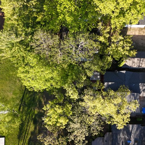 Exterior: a top-down view of the property