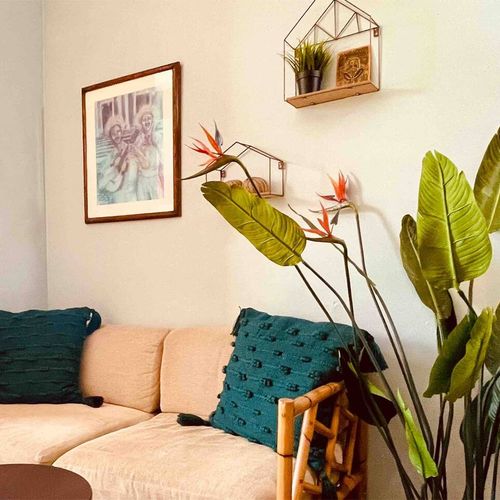 Lush greenery and bright decor make this living room a vibrant space.