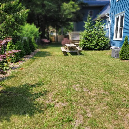 Exterior:  the large backyard and picnic table.