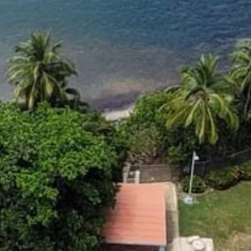 Tropical Paradise Awaits: Immerse yourself in the vibrant beauty of lush greenery and exotic foliage surrounding your escape.