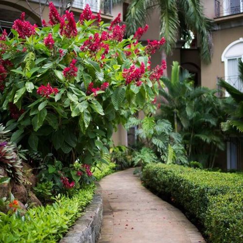 Outdoor areas