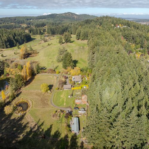 c4988635 fd32 4740 afc9 0d9e7097438c homerunner