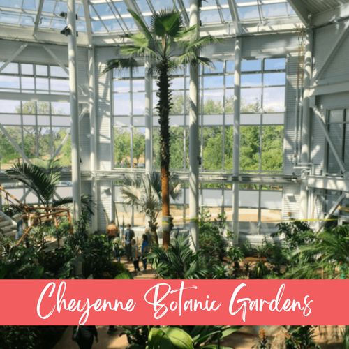 Breathe in fresh air and lush scenery at cheyenne botanic gardens.