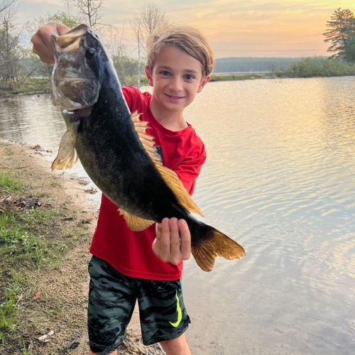 Exterior:  the lake is great for fishing with lots of bass, bluegill, and perch.