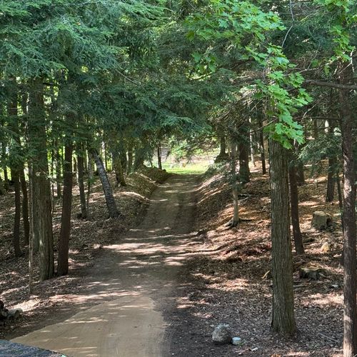 EXTERIOR:  The road to the cabin