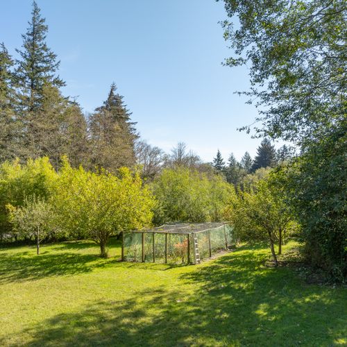 Garden Retreat berry patch and fruit trees.