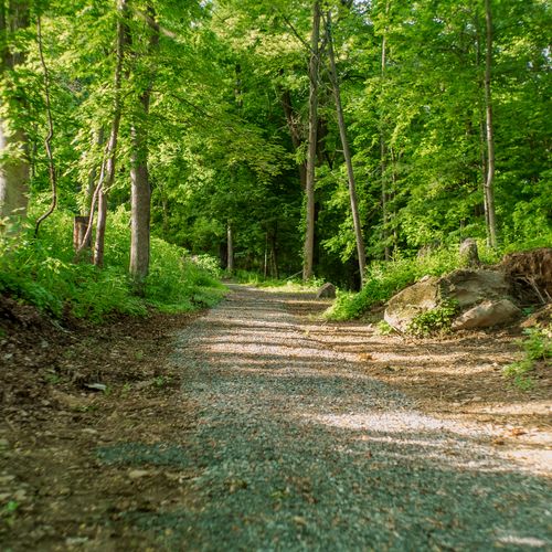 This private walking path is the perfect place for your morning meditation or a stroll with friends.
