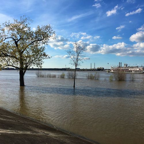 Watch the Steamboat Natchez glide upriver from the mighty Mississippi.