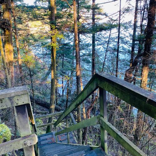 There are wooden stairs and steps along the way to the beach.  Please accompany small children. :)