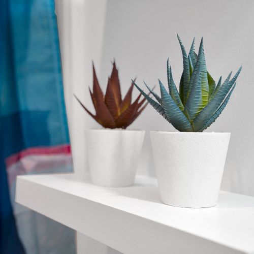 Fresh succulents & white planters bring a bright, airy touch to the space.