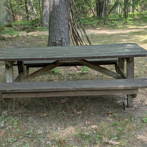 Exterior:  the picnic table in the backyard