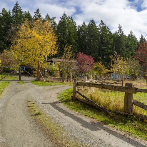 dda2723f 637f 47d7 a0f6 65e10802fb14 homerunner