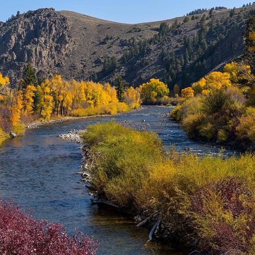 A winding river cuts through golden autumn trees and rugged hills under a clear blue sky.