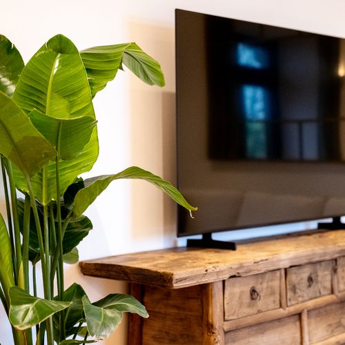 E0c89524 2e7a 4fd8 98ee 67fe9c64050c homerunner