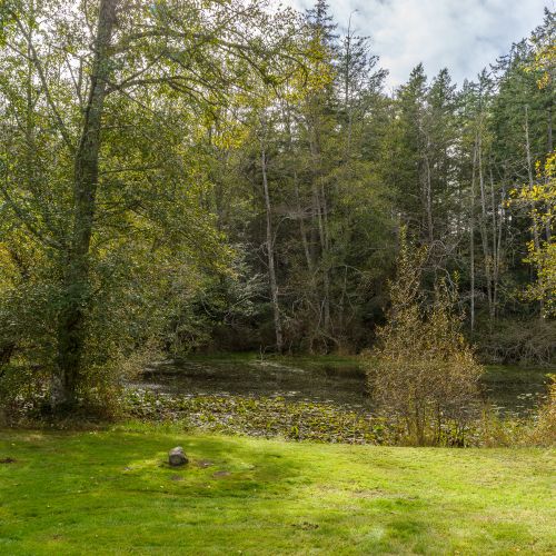 e1cba9e0 b633 4143 ac58 4afee9630aa0 homerunner