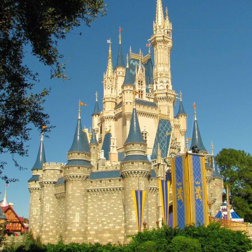 Disney Theme Park