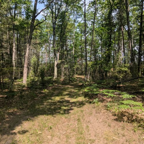 Exterior:  the trail to the river that goes from the backyard of the cabin.