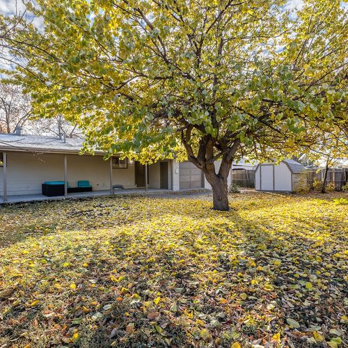 - stylish backyard filled with golden leaves, mature trees, and extra storage sheds
- great for pets, kids, games, or relaxing afternoons under the wide canopy
- fully fenced and private with space to explore, unwind, or entertain with ease