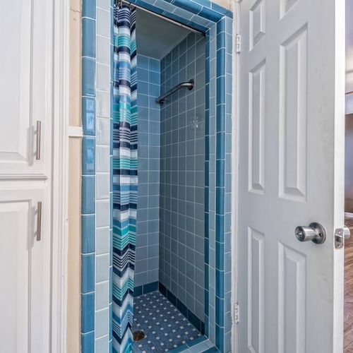 Master Bathroom Shower
